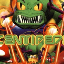 Centipede